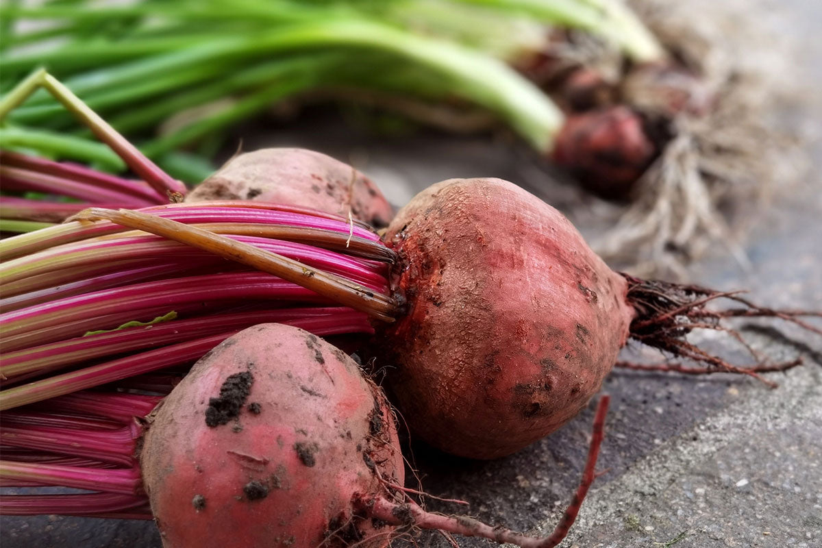 Betaine for Skin: What It Does and Why It's in Our Formulas